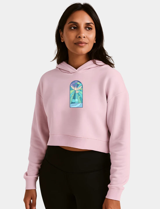 Window Crop Hoodie